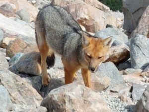 Unknown-11